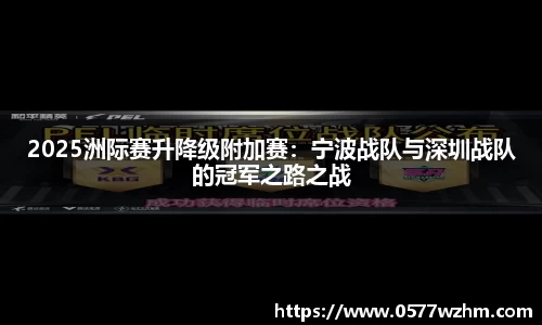 2025洲际赛升降级附加赛：宁波战队与深圳战队的冠军之路之战